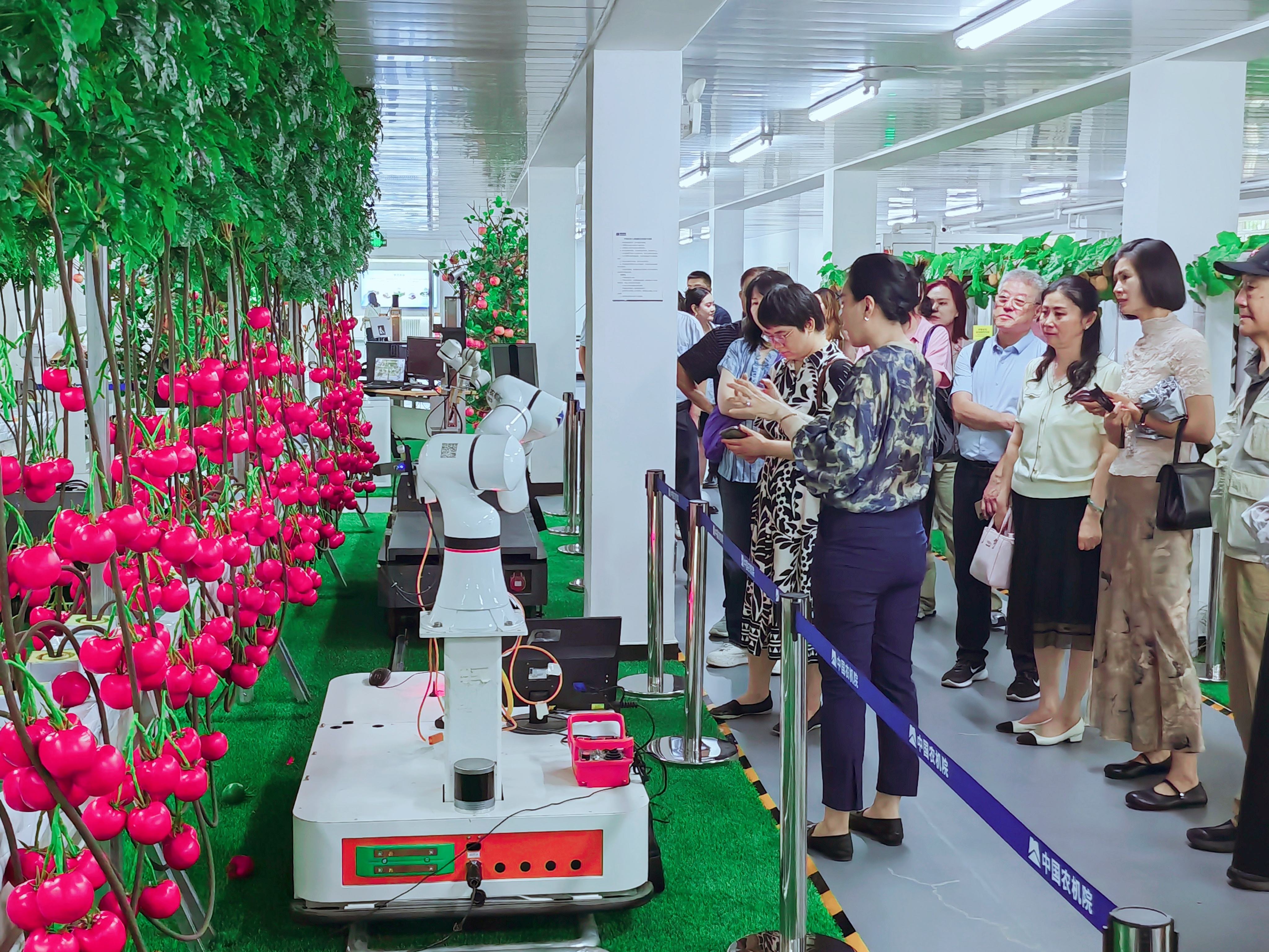 拉斯维加斯9888(中国游)官方网站