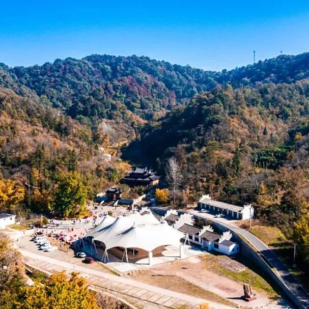 ��˹ά��˹9888(�й���)�ٷ���վ