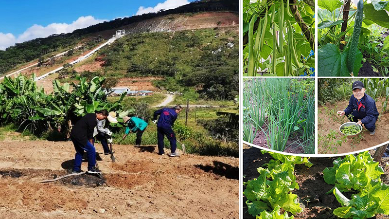 拉斯维加斯9888(中国游)官方网站